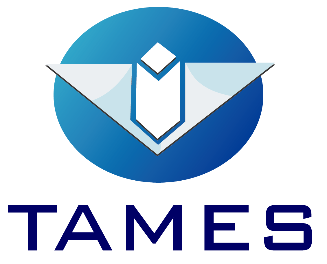 TEMAS炉温测试仪